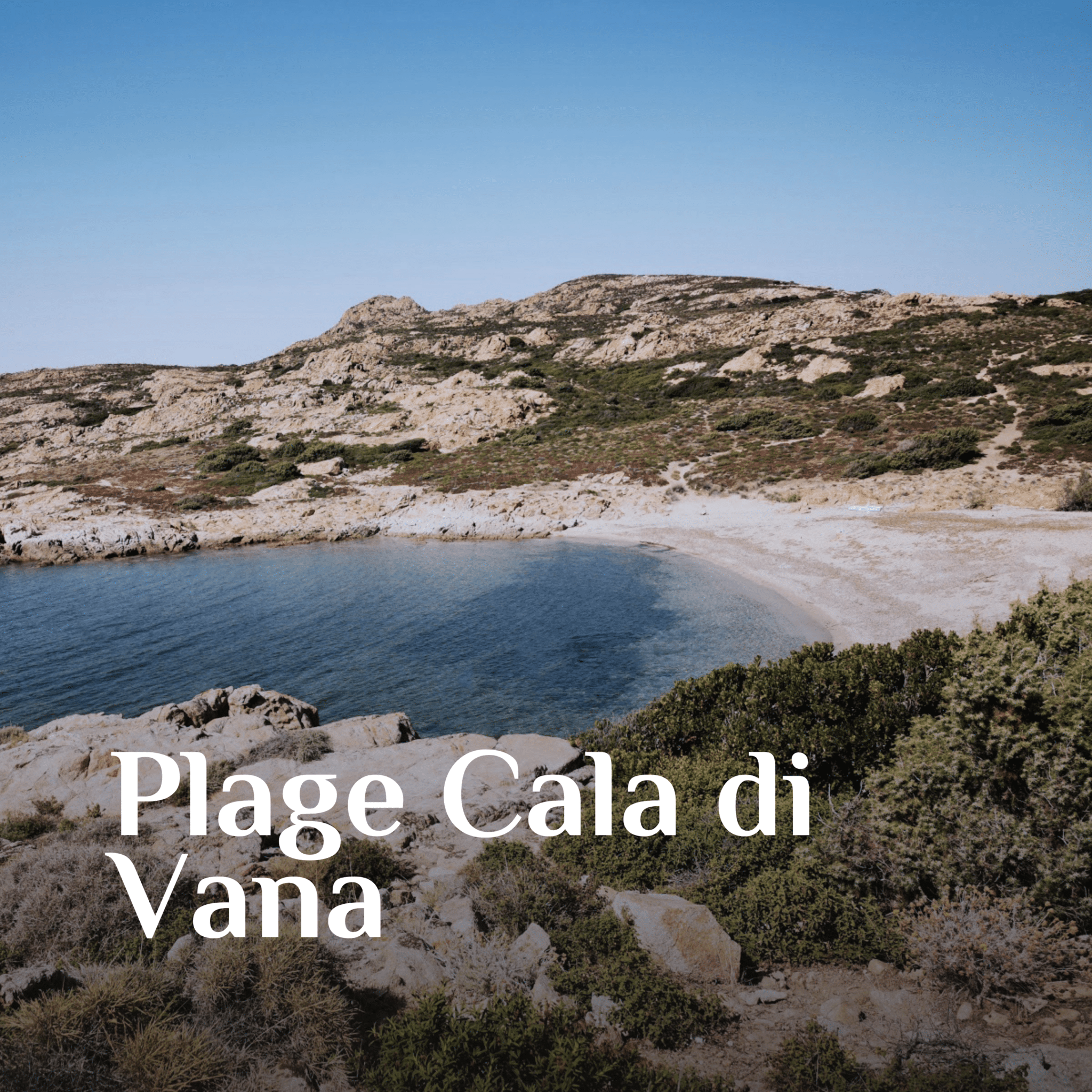 1-VANA