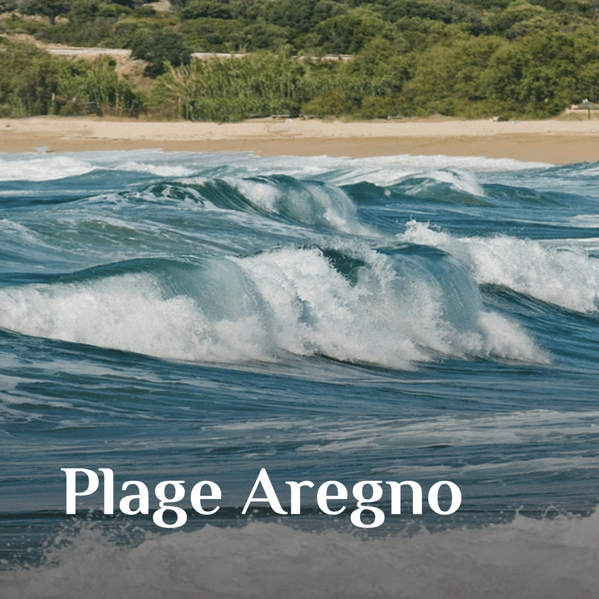 1-aregno