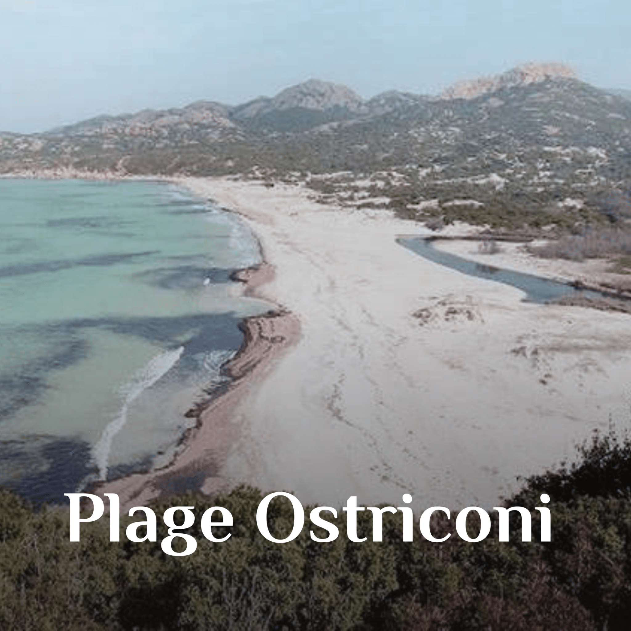 1-ostriconi