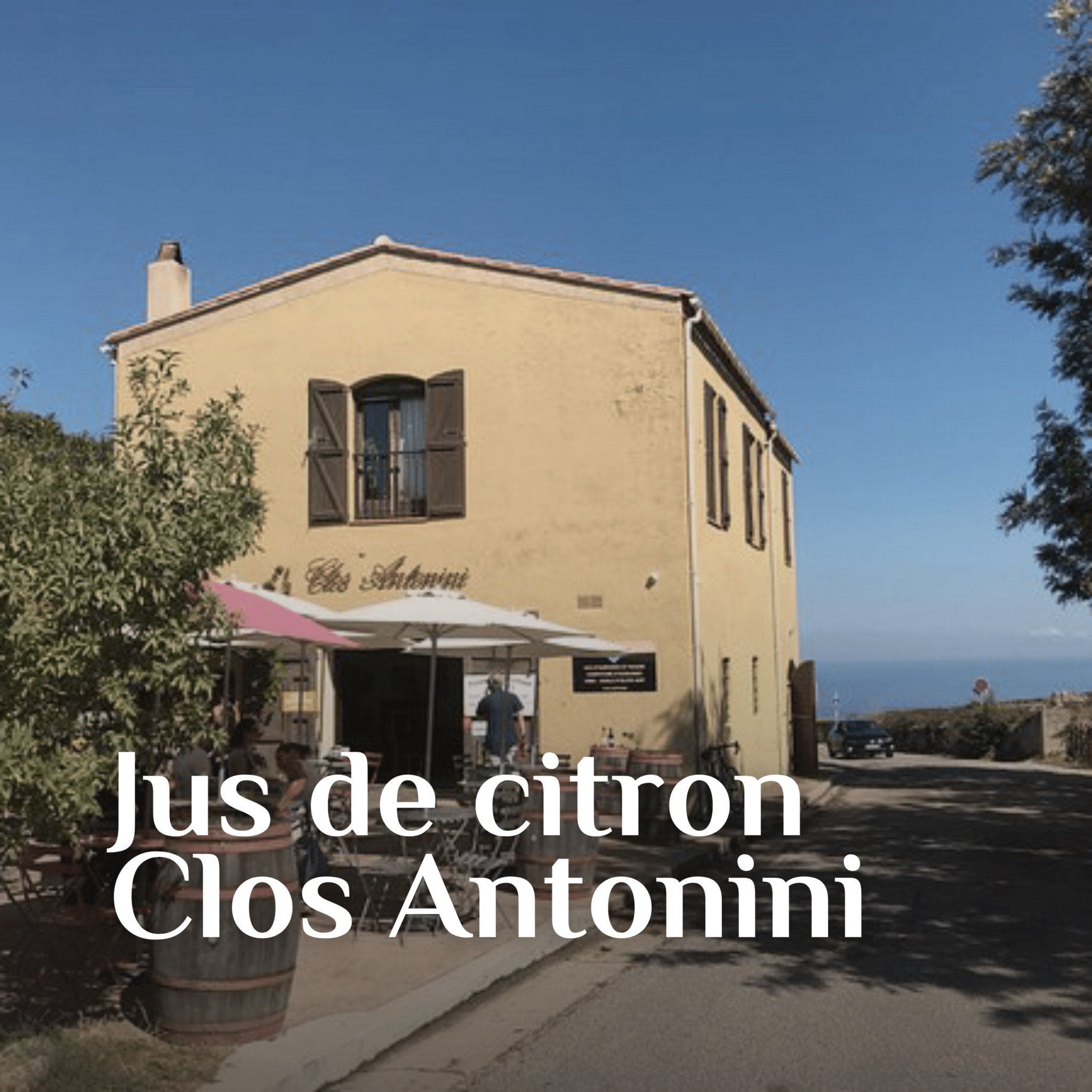 2-antonini