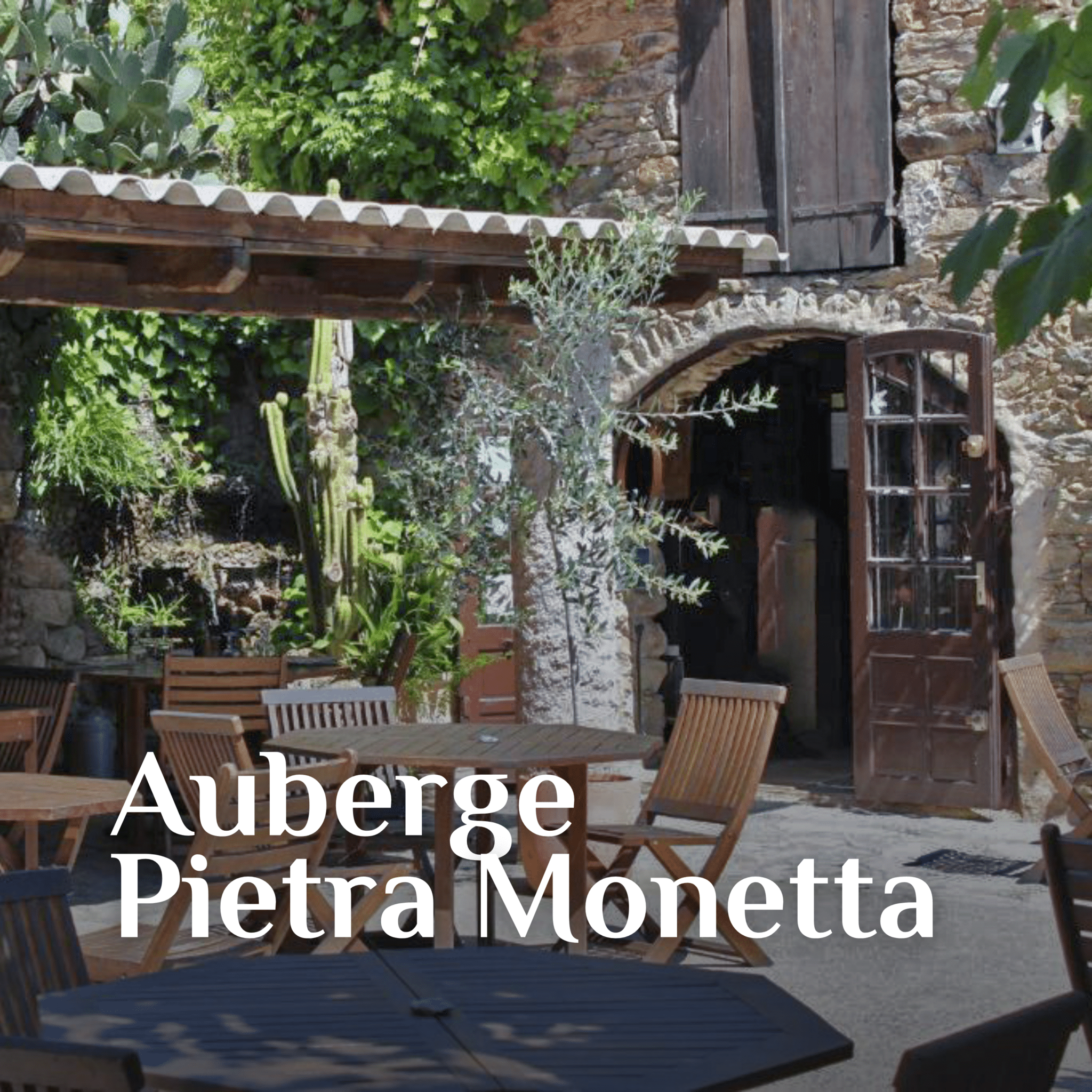 2-pietra-monetta
