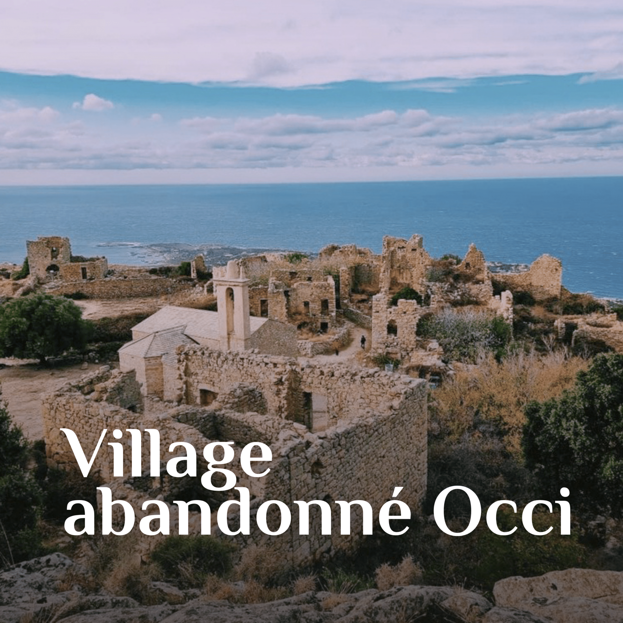 3-occi