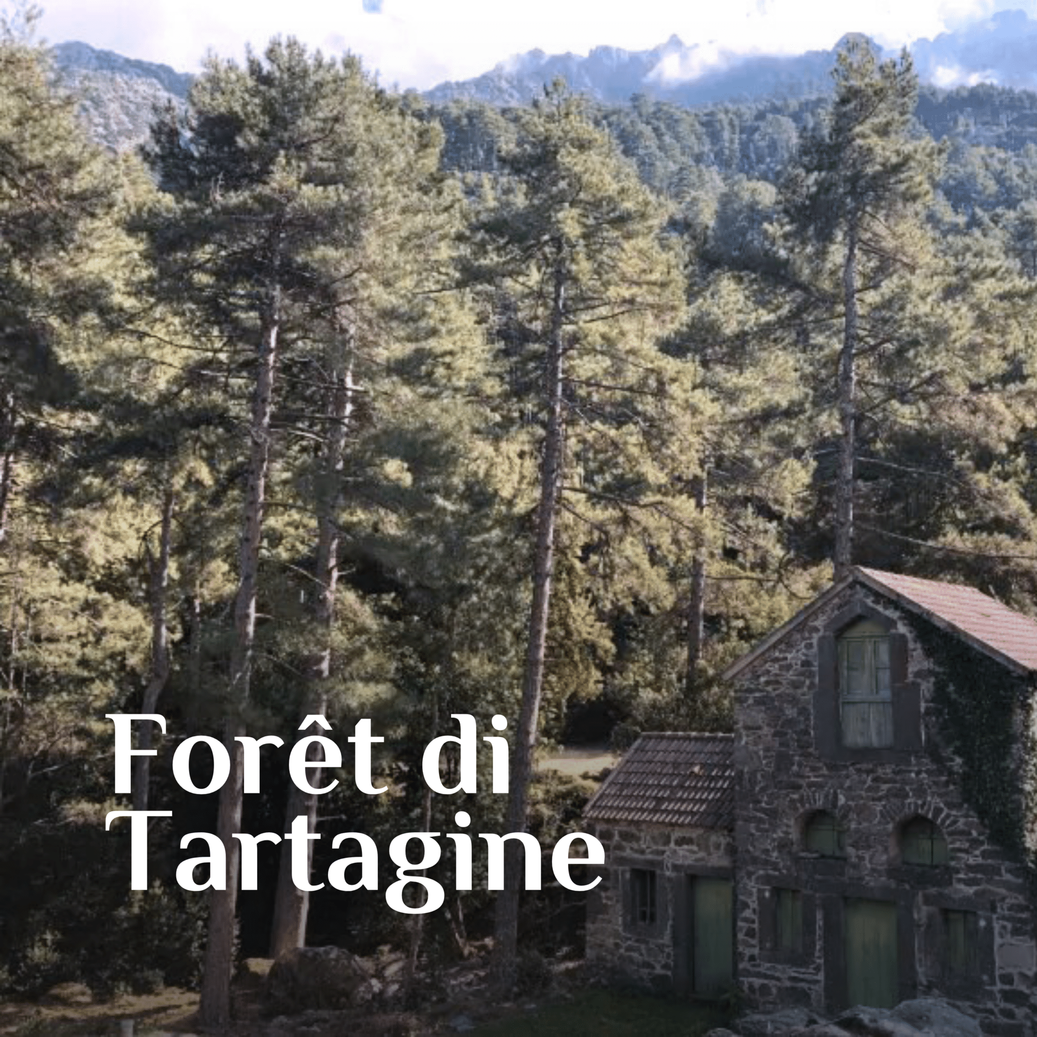 3-tartagine