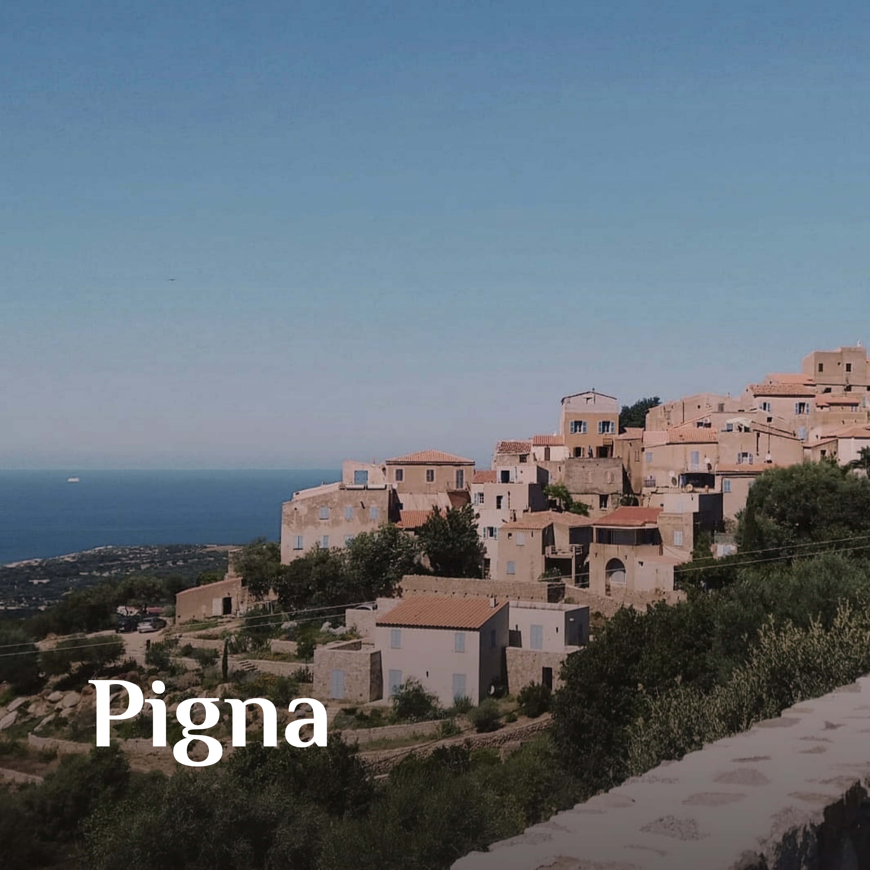 4-pigna
