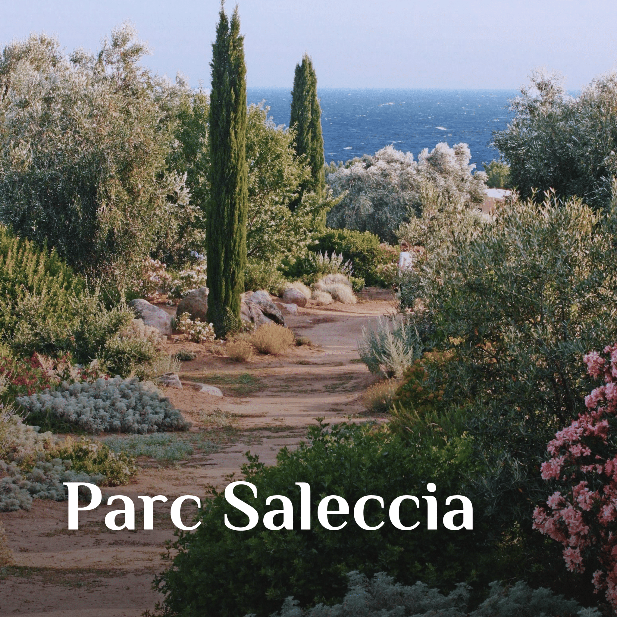 4-saleccia