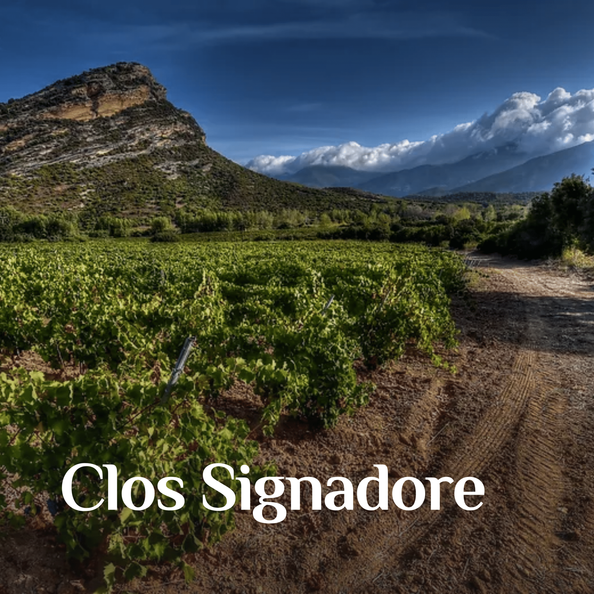 Clos Signadore