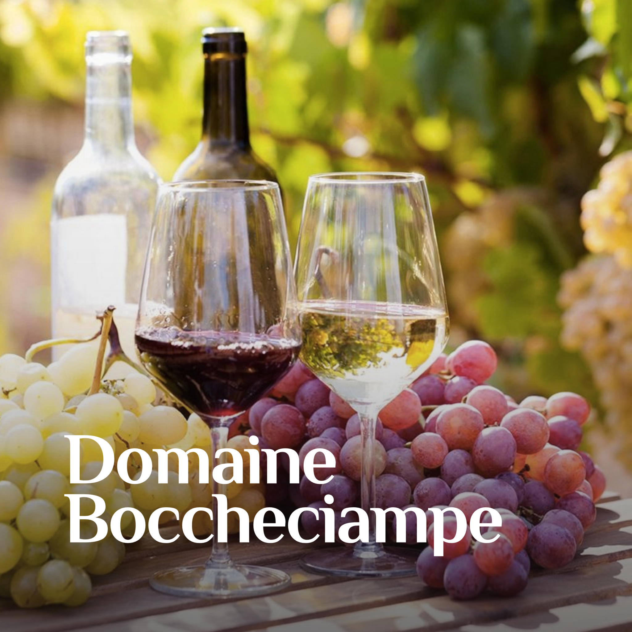 Domaine Boccheciampe