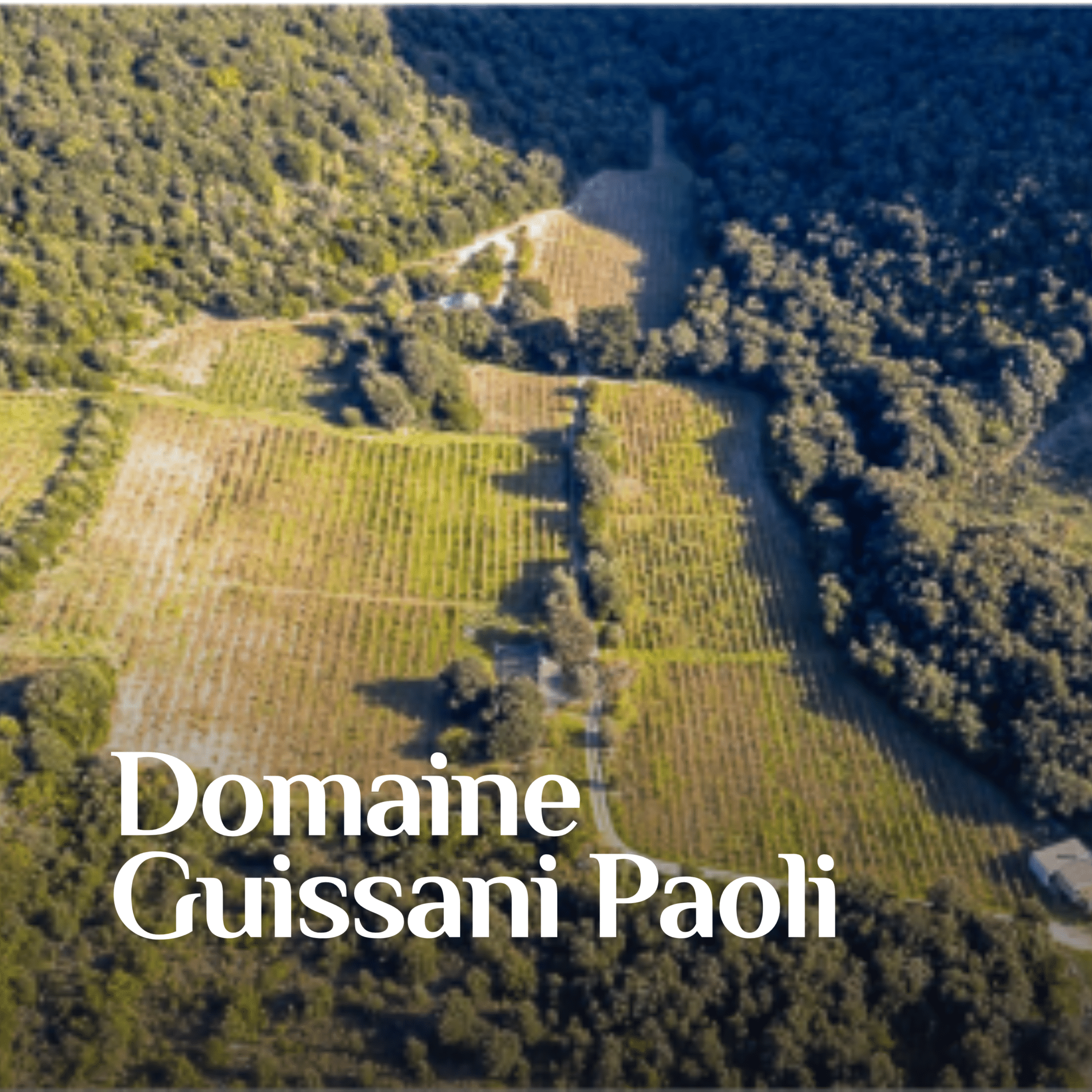 Domaine Guissani Paoli