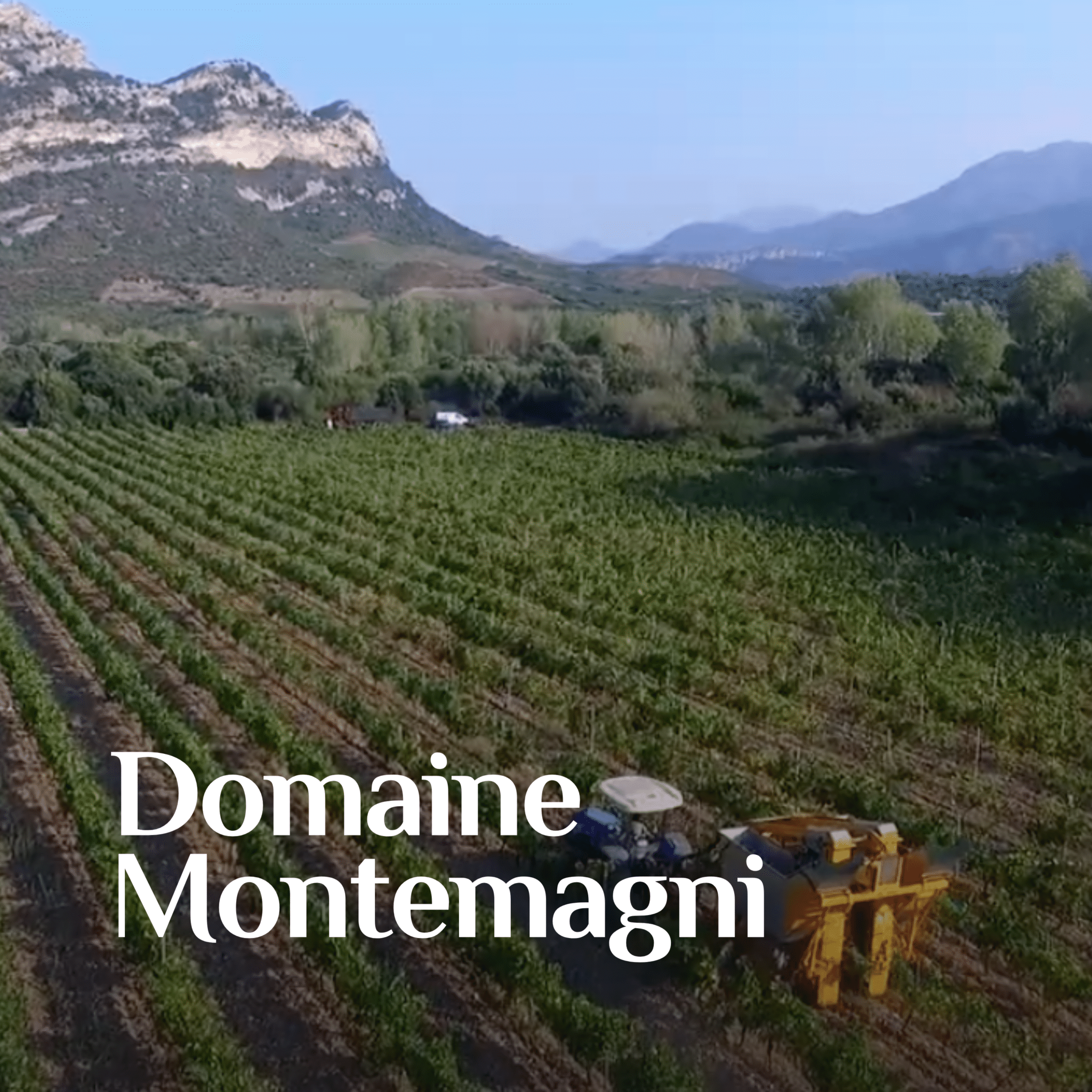 Domaine Montemagni