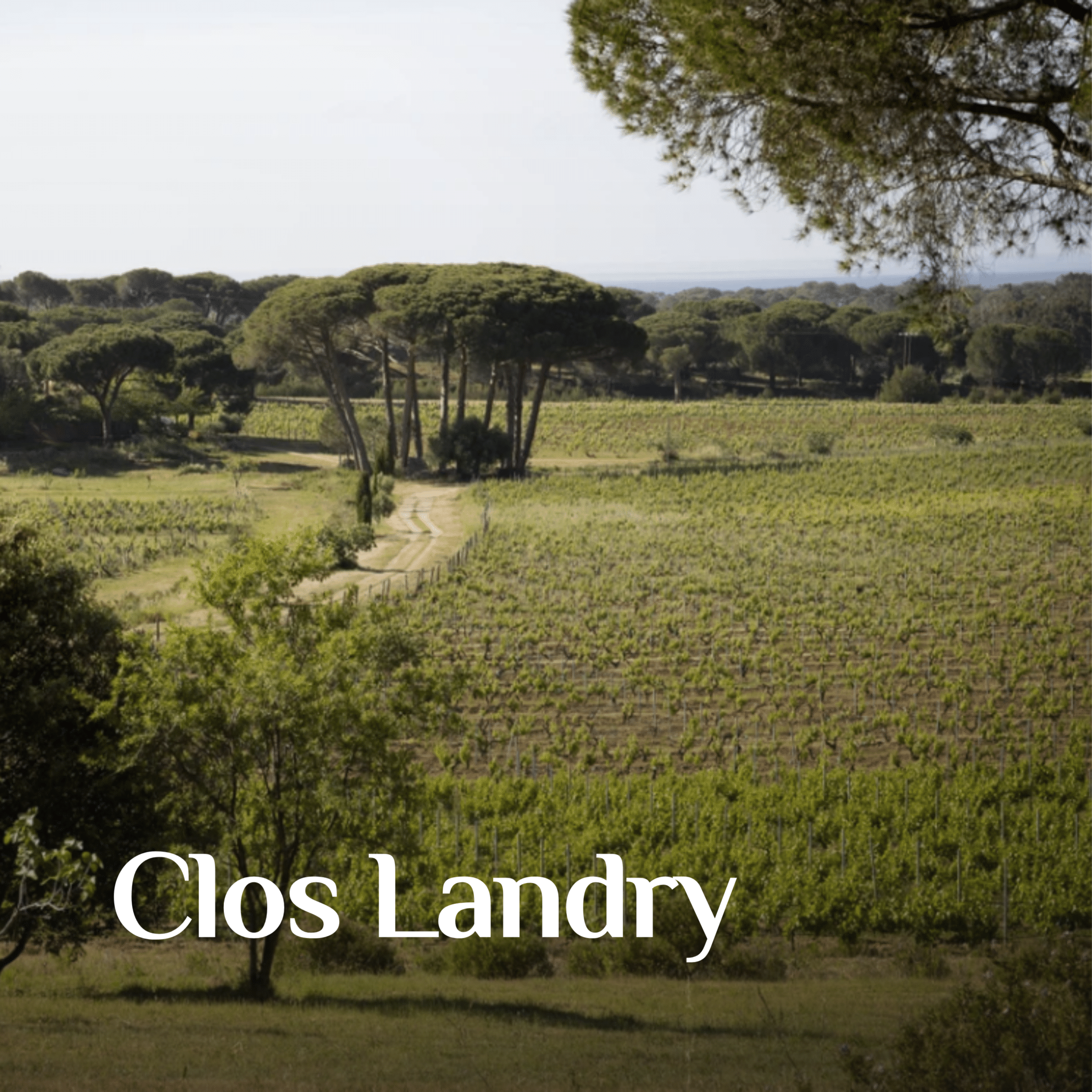 landry